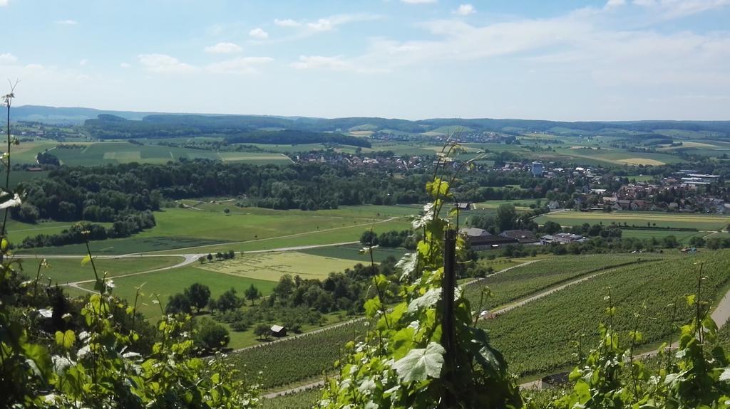 Wein- Appartements Borth Bretzfeld Esterno foto